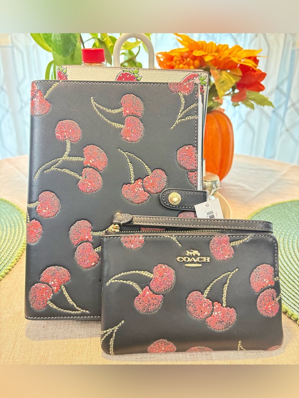 Coach Zip Wristlet/Notebook set
